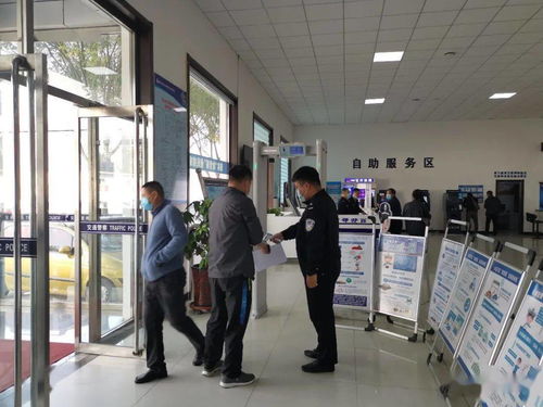 牌耀北京车牌代办全流程解析：老司机教你避开这7大坑